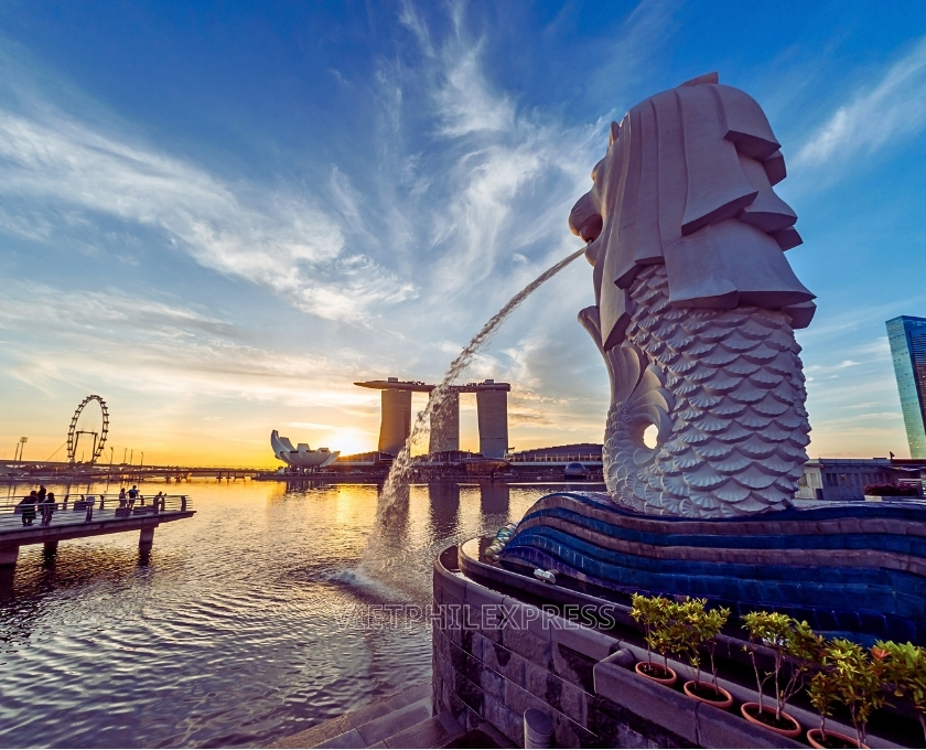 GỬI HÀNG ĐI SINGAPORE